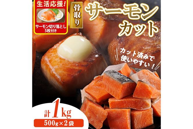 骨取り サーモン カット(計1kg・500g×2袋)サーモン切り落とし5枚付き 皮付き 鮭 ダイスカット 小分け 骨とり 骨なし 骨取り済 カット済 簡単 魚 冷凍 お弁当 おかず 【AW-74】【丸正水産】
