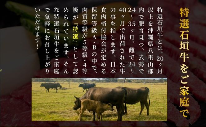 【2025年11月以降順次発送】希少な特選石垣牛をご家庭で！！ロースとカルビ焼肉用食べ比べセット合計400g &石垣牛 MARU秘伝の焼肉タレ100ml×1本