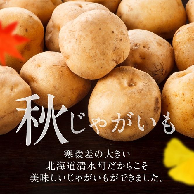 先行受付！ホクホク！しっとりなめらか！ 北海道産 キタアカリ いも じゃがいも きたあかり イモ 約10kg_S041-0008-2026