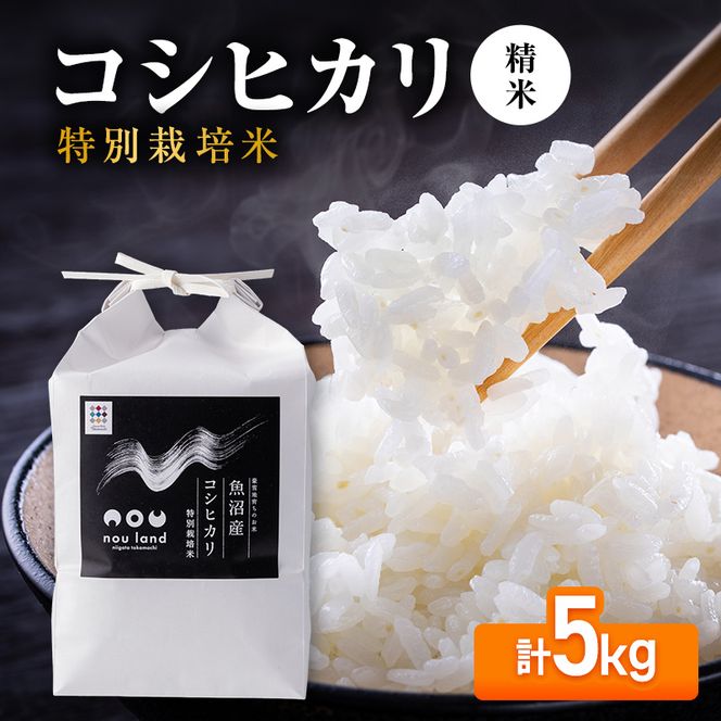 【先行予約】令和8年産 コシヒカリ 特別栽培 精米5kg