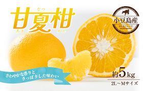【 小豆島 】 甘夏柑 約5kg 柑橘 あまなつかん 果物 フルーツ 爽やか さっぱり くだもの 国産 香川 香川県 土庄 土庄町 