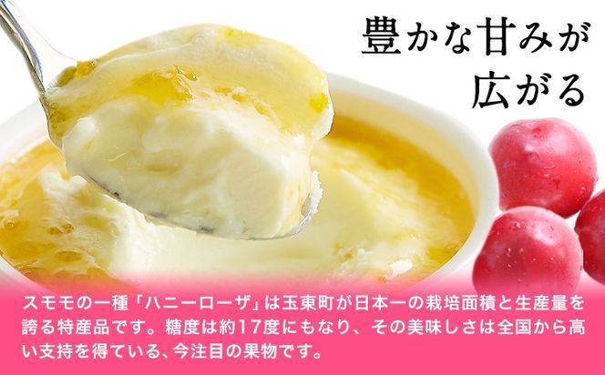 糖度17度の甘さ♪ハニーローザアイスクリーム 120ml 12個 熊本県 玉名郡 玉東町 すもも ハニーローザ アイス ぷらっとぎょくとう《60日以内に出荷予定(土日祝除く)》---gkt_prt_14_12k---
