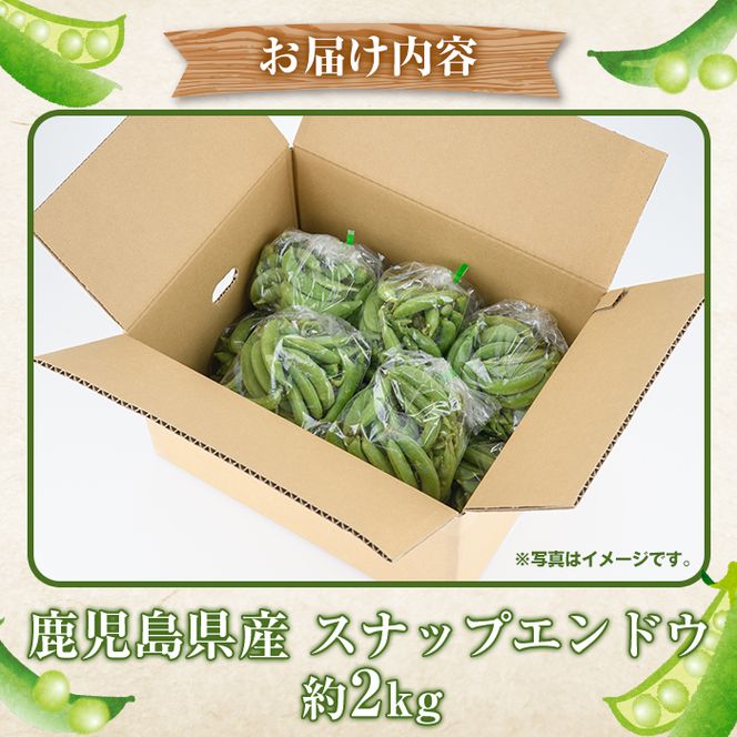 ＜先行予約受付中！2026年12月中旬以降順次発送予定＞訳あり！鹿児島県産 スナップエンドウ(約2kg) 国産 野菜 スナップエンドウ スナップえんどう おつまみ サラダ 炒め物 訳アリ サイズ混合【松永青果】akn053-07