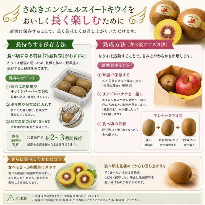 【 小豆島 】 さぬきエンジェル スイートキウイ 約1kg 化粧箱 フルーツ 果物 キウイ キウイフルーツ さぬき くだもの 国産 香川 香川県 土庄 土庄町