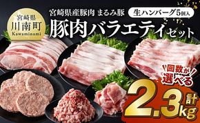 豚肉 ※選べる回数※宮崎県産豚肉 「まるみ豚」総重量2.3kg豚肉バラエティセット　生ハンバーグ5個入り 【 肉 豚肉 国産 ハンバーグ 小分け 弁当 おかず お手軽 真空パック バラ モモ ロース こま切れ スライス ミンチ 挽肉 九州産 宮崎県産 川南町産 送料無料 定期便 】[B11501 B11504]