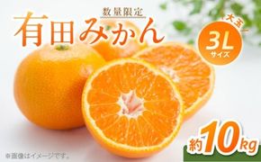 BF6012n_【2026年先行予約】 有田みかん 大玉 3Lサイズ 10kg 【ミカン 蜜柑 柑橘 温州みかん 有田みかん 和歌山】