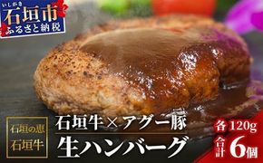 【産地直送】石垣の恵 石垣牛とアグー豚の合い挽き生ハンバーグ 6個【合計720g】【日本最南端の黒毛和牛】KB-103