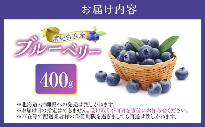 南紀白浜産ブルーベリー 400g 304018_Y008
