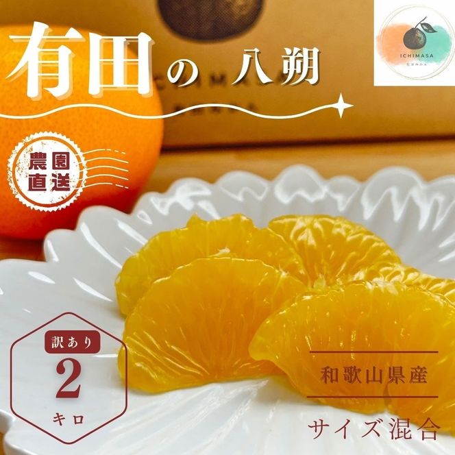 ya̎RLc쒬zyӂ邳Ɣ[Łzys\z  2kg 󂠂 TCY k t[c ͂ Yn    FA09