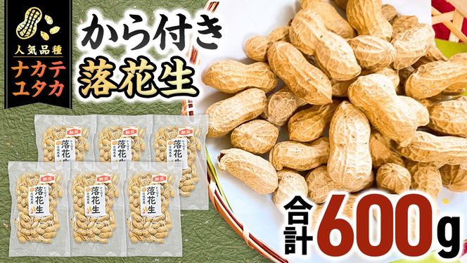 から付き落花生 600g （100g×6袋） 煎りざや落花生 おつまみ おやつ ピーナッツ 殻付き ナカテユタカ [EH22-NT]