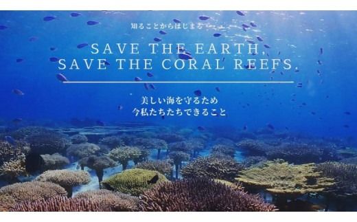 チケット【参加特典付き貸切オンラインツアー】沖縄から自然環境を学ぶ！サンゴの不思議【恩納村ラグーン】