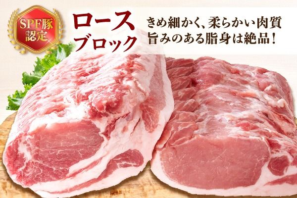 山形県庄内SPF豚 最上川ポークロースブロック 4kg（2kg×2）国産 豚肉 冷蔵便