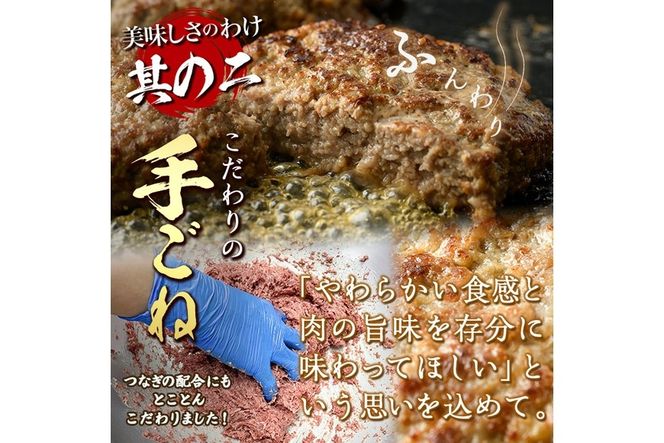 おおいた和牛 100% 手ごね 生ハンバーグ (計900g・150g×6個) 国産 牛肉 肉 霜降り A4 和牛 ブランド牛 冷凍 大分県 佐伯市【DH267】【(株)ネクサ】