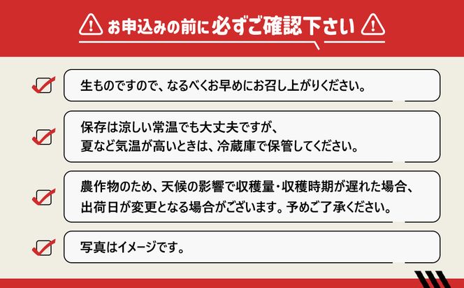 ［2027年2月出荷分］和歌山産ミニトマト「アイコトマト」約1kg（M・Lサイズおまかせ） ［TM264］ 303446_XH92287