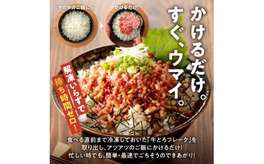 【7回定期便】人気の牛とろ丼セット 300g 専用タレ付き_S006-0145