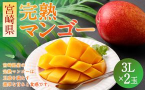 ＜宮崎県 完熟マンゴー3L×2玉 900g＞2025年4月上旬～7月中旬迄に順次出荷【c1164_hi_x1】