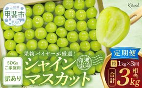 【来年（2026年/令和8年）発送＜先行予約＞】【訳アリ】【定期便】粒シャインマスカット 約1.0㎏×3回 山梨県産 国産 産地直送 人気 おすすめ フルーツ 果物 くだもの ぶどう ブドウ 葡萄 わけあり ワケアリ 新鮮 甘い 皮ごと 山梨県 甲斐市 AD-278