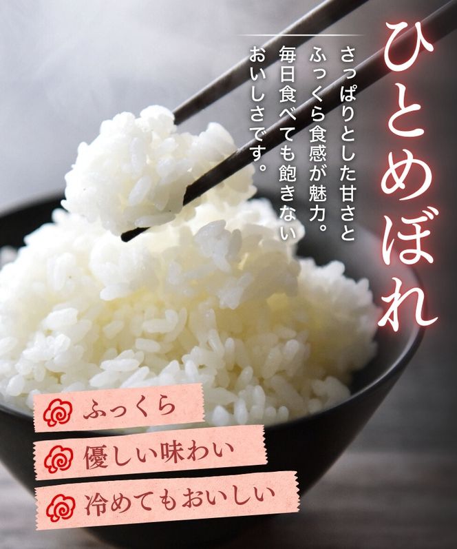 平泉町産ひとめぼれ 5kg精米 白米 お米 こめ コメ お米マイスター 岩手 岩手県 平泉町産 お米 白米 精米 ご飯 ブランド米 新米 令和6年産 産地直送 送料無料 コメ こめ おこめ 令和6年 2024年 岩手県 送料無料 北上川 【cbt400-hito-5】