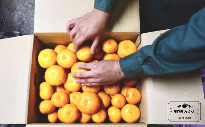 【訳あり】有田みかん 約3kg 家庭用  EY001