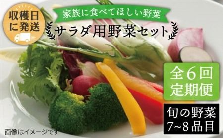 【全6回定期便】【福岡県糸島産】サラダ用 野菜セット 《糸島》 【オーガニックナガミツファーム】 [AGE008] 野菜セット 野菜 やさい サラダ 詰め合わせ トマト とまと 野菜野菜セット 野菜やさい 野菜サラダ 野菜詰め合わせ 野菜トマト 野菜とまと 野菜ベビーリーフ 野菜水菜 野菜ハーブ 野菜オクラ 野菜人参 野菜にんじん 野菜ニンジン 野菜ほうれん草 野菜クレソン 野菜かぼちゃ 野菜カボチャ 野菜じゃがいも 野菜玉ねぎ