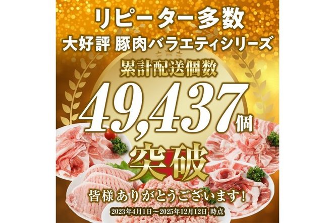 ＜1回配送＞ 豚肉 バラエティーパック (合計2kg) 豚バラ しゃぶしゃぶ 鍋 とんかつ ロース 小分け 個包装 豚こま 小間切れ スライス ミンチ 5種 セット 詰め合わせ 冷凍 食べ比べ 国産 大分県 佐伯市【BD320】【西日本畜産】