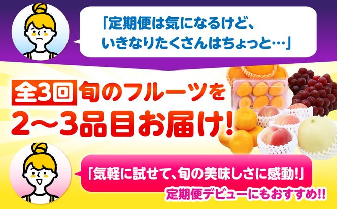 【3回定期便】季節の果物 詰め合わせ フルーツセット 旬の果物をお任せで2〜3品目お届け  / 果物 セット / 南島原市 / 吉岡青果[SCZ038]