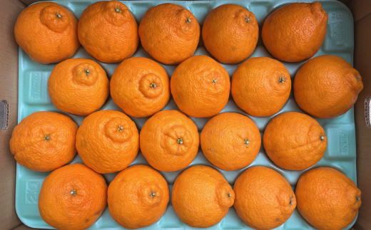 和歌山県産不知火約5kg（18玉～24玉おまかせ） ※2027年2月下旬～2027年3月下旬頃に順次発送予定（日付指定不可）【tec956】