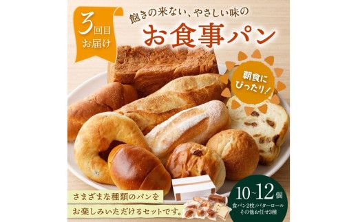 【5回定期便】京都のパン屋★ 京都 丹後のおまかせ お楽しみパン 5ヶ月定期便 【訳あり】 BT00022