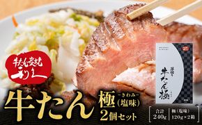 牛たん炭焼利久 牛たん極（塩味）2箱セット【 肉 にく 牛肉 牛たん タン 仙台 名物 厚切り 焼肉 プレミアム バーベキュー BBQ アウトドア キャンプ ジューシー 柔らかい 風味豊か 旨味 冷凍保存 焼き方簡単 高級 贅沢 宮城 お取り寄せ ギフト 】 ● 041009_JF015