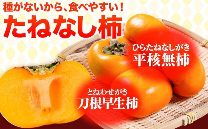 【先行予約】たねなし柿（刀根早生柿・平核無柿）約4kg（12～15玉前後） 《9月中旬-11月上旬頃出荷》 和歌山県 紀の川市 種なし柿 産地直送 柿 果物 フルーツ 2L～Mサイズ カキ---wfn_wlocal78_9c11j_25_10000_4kg---
