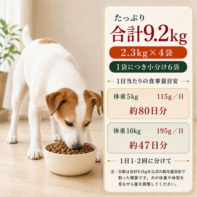 ビューティープロ ドッグ 食物アレルゲンに配慮 1歳から 2.3kg ｘ4(ケース単位) ドッグフード