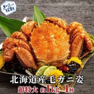 23-88 【訳あり】超特大_北海道産毛ガニ　約1kg×1杯