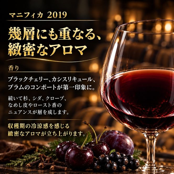ワイン 信州ワイン 赤 千曲川 マスカット・ベーリーA 750ml 1本 赤ワイン マンズワイン 酒 お酒 洋酒 果実酒 ぶどう酒 長野 長野県小諸市