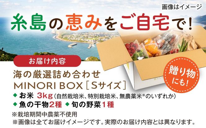 糸島産 魚 米 野菜 果物 厳選詰め合わせ MINORI BOX Sサイズ 糸島市 / emma.Inc / 米 魚 野菜 詰め合わせ[AOP019]