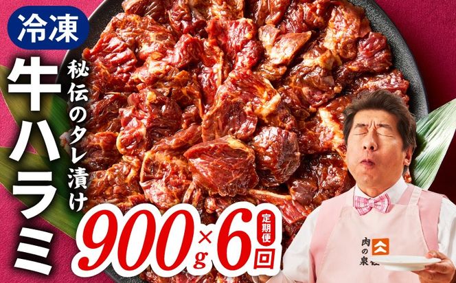 099Z523 【定期便】牛ハラミ肉 900g×全6回【小分け 300g×3P 秘伝の赤タレ 味付き 焼肉 訳あり サイズ不揃い 毎月配送コース】