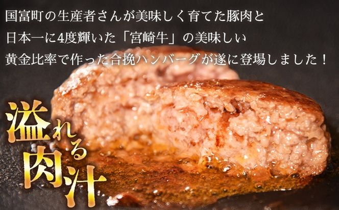 ＜絶品合挽ハンバーグ 6個＞入金確認後、翌月末迄に順次出荷 ソース付き【国富産 豚肉 宮崎牛 ブランド牛 合いびき 合い挽き 160g ぶたにく 牛肉 おかず 一品 焼くだけ 簡単調理 お弁当 お取り寄せ おとりよせ グルメ 贈り物 ご家庭用】 【b1102_mk】