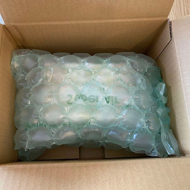 パイナップルチーズケーキ (約350g) チーズケーキ ケーキ 冷凍 取り寄せ ギフト 年内発送 沖縄市 / 株式会社クロップ[BCCC002] 