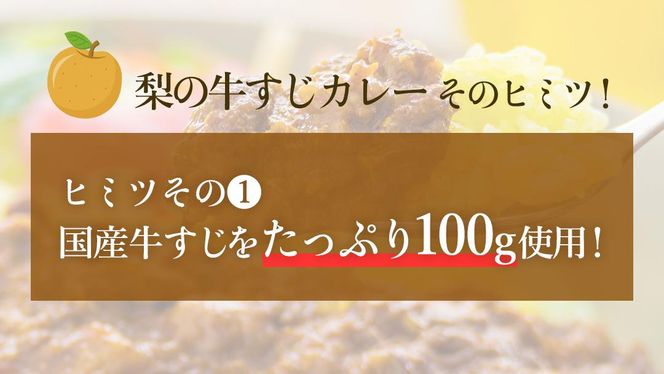 梨 の チャツネ（ペースト） を使った 牛すじ カレー 3個 セット レトルト 常温保存 備蓄 非常食 牛すじカレー コク 旨味 中辛 オリジナル グッズ 筑西市 限定 梨 なしカレー [DS002ci]