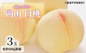 桃 2026年 先行予約 白桃 3玉入り 合計600g前後 岡山県産もも モモ 岡山県産 国産 フルーツ 果物 ギフト [№5735-1886]