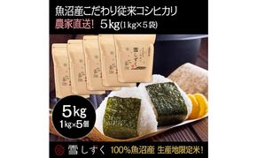 令和7年産！魚沼産こだわり従来コシヒカリ【農家直送!】5kg(1kg×5袋) お米 米 コメ 