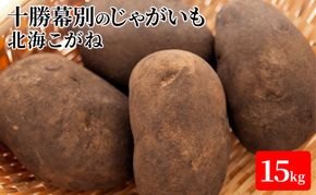 【先行予約】十勝幕別のじゃがいも15kg（北海こがね）【北海道ホープランド農場】 野菜 
