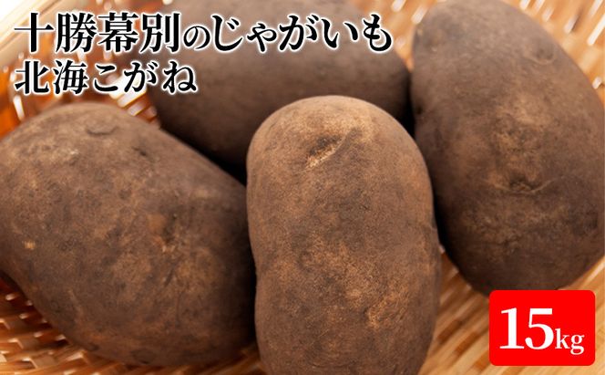 【先行予約】十勝幕別のじゃがいも15kg（北海こがね）【北海道ホープランド農場】 野菜 