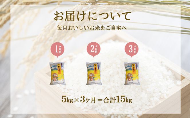 【3回定期便】米 えびの産 ひのひかり 5kg×3ヶ月 合計 15kg 米 お米 精米 白米 ご飯 ヒノヒカリ 国産 宮崎県産 特選米 九州産 送料無料 コメ おにぎり つや 艶 ツヤ たまごかけごはん 卵かけご飯 卵かけごはん TKG 冷めても美味しい