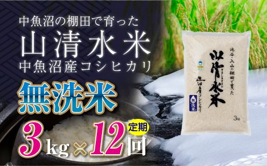 【定期便／全12回】無洗米3kg　新潟県魚沼産コシヒカリ「山清水米」十日町市 米