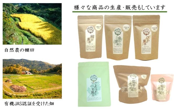 国東産「桑の葉玄米茶」ティーバッグ 5g×10包入り×3袋(合計30包)_2777R