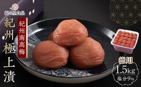 紀州南高梅 徳用 紀州極上漬 1.5kg×1箱 ［Kn6］ 303446_CQ006