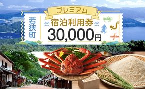旅行 プレミアム 宿泊 利用券 30,000円分 1枚 ホテル 旅館 温泉 温泉宿 旅行券 宿泊券