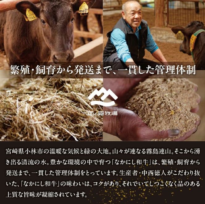 【定期便 全3回】宮崎県西ノ原牧場・なかにしプレミアム和牛バラエティ定期便（牛肉 黒毛和牛 すき焼き しゃぶしゃぶ モモ 定期便 A4 A5）