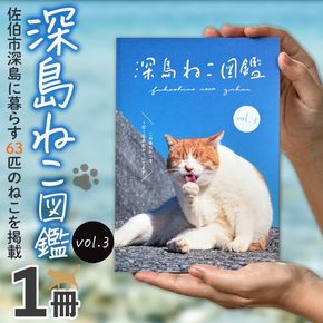 深島ねこ図鑑vol.3 (1冊) 猫 ねこ 写真集 本 雑誌 書籍 深島 猫の島 グッズ 大分県 佐伯市 【HD238】【さいき本舗 城下堂】