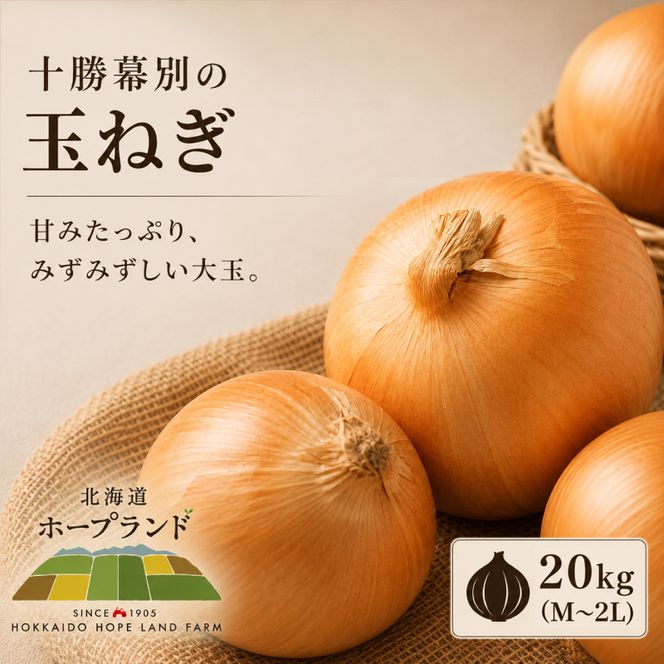 【先行予約】十勝幕別 玉ねぎ 20kg （M～2L）[北海道ホープランド農場] 【 たまねぎ 玉ねぎ 玉葱 野菜 秋野菜 北海道 十勝 幕別 】